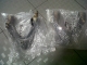 BALL JOINT ATAS HONDA ACCORD MAESTRO TAHUN 1990-1993 / SET