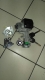 KUNCI KONTAK ASSY HONDA CITY TAHUN 2003-2007, MANUAL