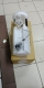 FUEL PUMP ASSY HONDA CRV TAHUN 2007-2011 / SET