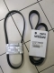 FAN BELT NISSAN NAVARA TAHUN 2008-2012 / SET, ORIGINAL NISSAN