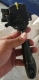 SAKLAR LAMPU SEIN DAIHATSU GRAND MAX, ORIGINAL