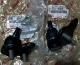 BALL JOINT DEPAN TOYOTA COROLLA ALTIS TAHUN 2001-2006 / SET, ORIGINAL TOYOTA