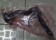 IDLE ARM OPEL BLAZER