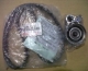 TIMING BELT SET TOYOTA KIJANG INNOVA DIESEL TAHUN 2007-2015. ORIGINAL TOYOTA